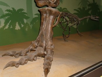 Tyrannosaurus Rex e Dromeosaurus