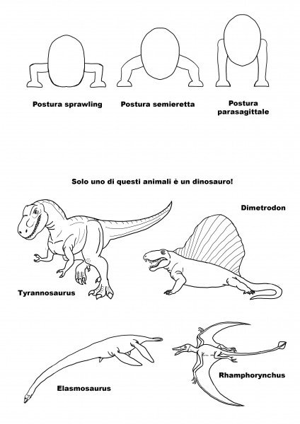 Solo uno di questi è un Dinosauro