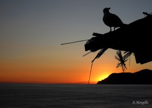 Fotografia di Alessandra Morgillo