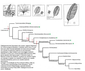 cladogramma_celurosauri