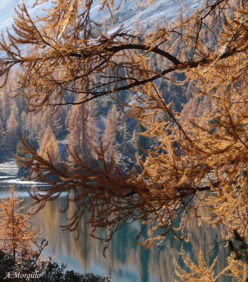 A.Morgillo_lago Federa, nelle dolomiti bellunesi (Cortina d'Ampezzo)