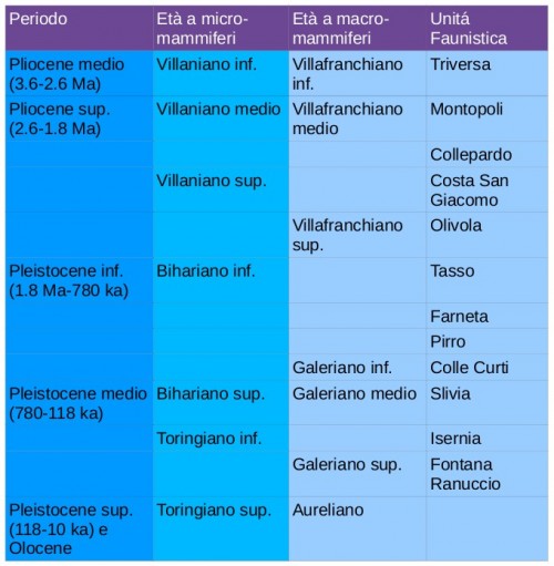 età a mammiferi