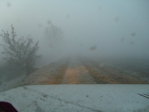 nebbia in Valpadana