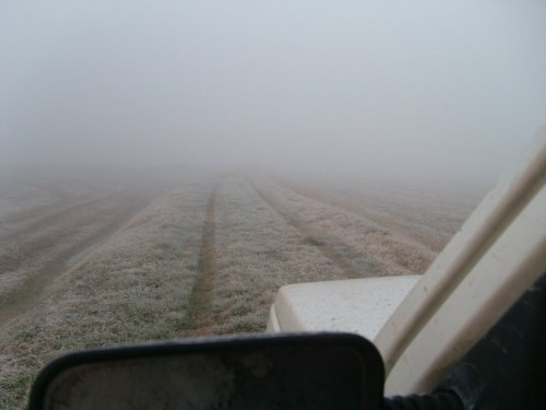 nebbia in Valpadana