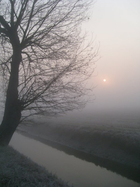 nebbia in Valpadana