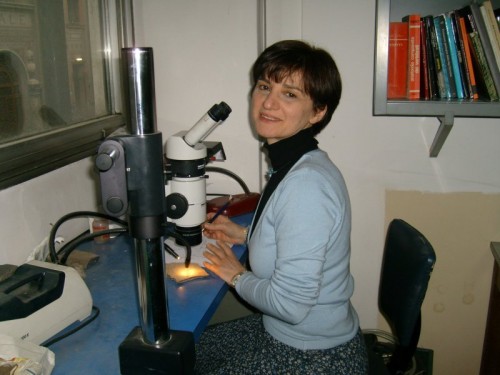 Cristina Lombardo Cristina Lombardo
