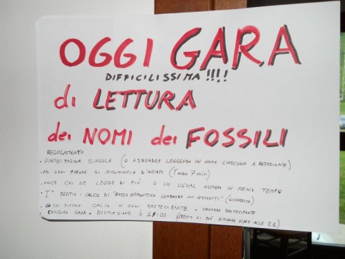 Gara di Lettura (difficilissima) dei nomi dei fossili!