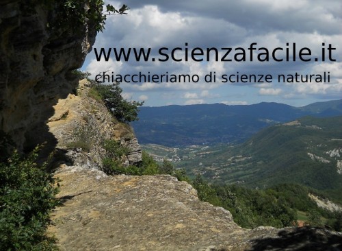 il canale di scienzafacile su youtube