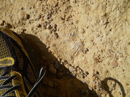 si cammina sui fossili e su antichi fondali...
