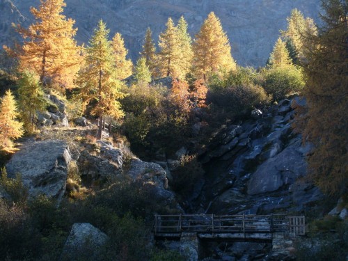 Verso i laghi di Laures (Brissogne AO)