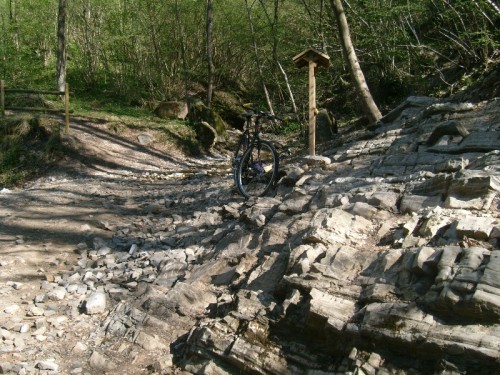 Esplorazione Geo-Paleontologica - Rio Ponticelli (Monte San Giorgio, VA)