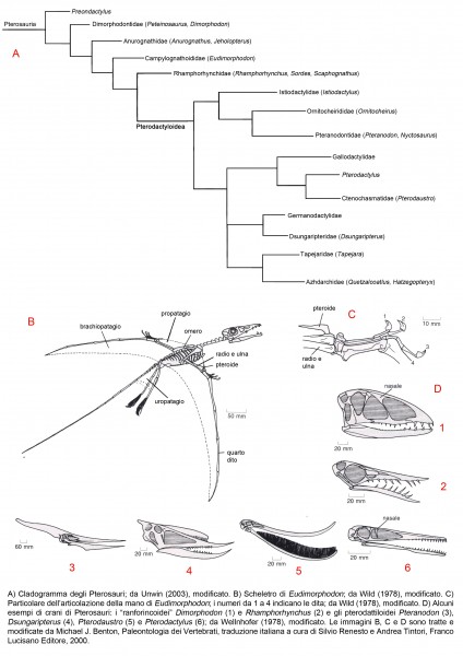 Pterosauri