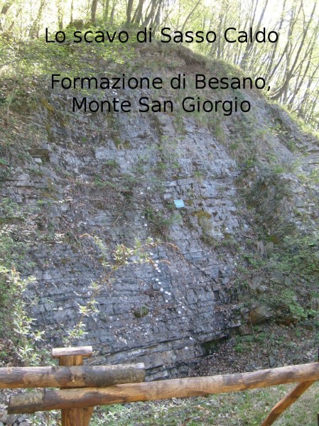 Scavo paleontologico di sasso caldo (VA)