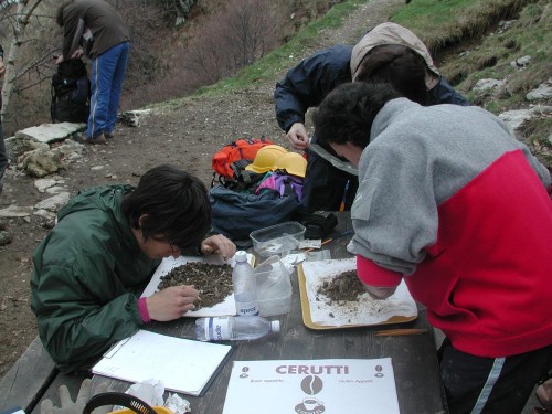 Vaglio sul posto della frazione grossolana del sedimento lavato setacciato