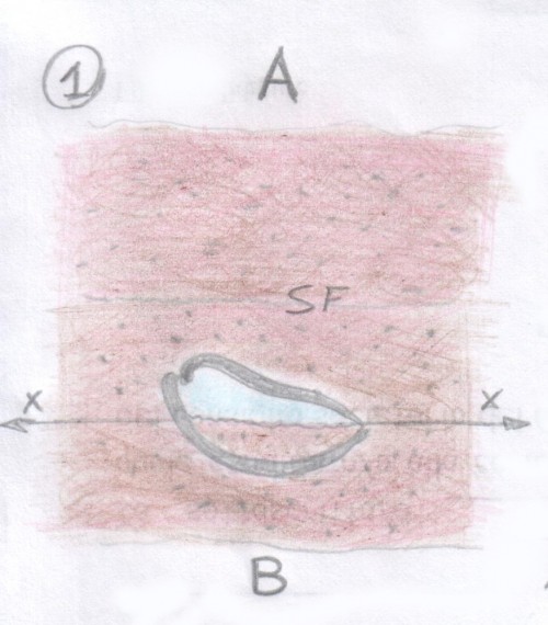 strutture-geopetali-1