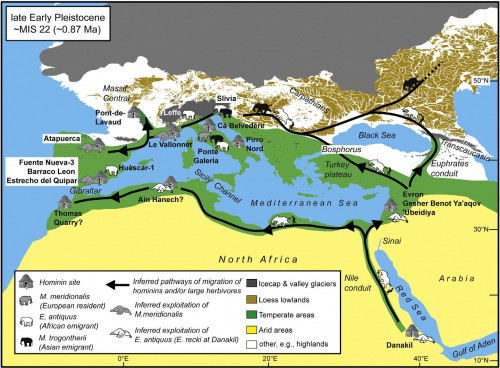 possibile scenario paleobiogeografico intorno allo stage isotopico MIS22