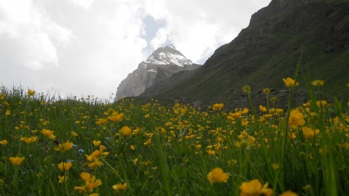 Alta val di Rhemes 2012