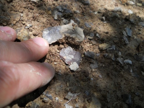 Neanderthal tool discovery