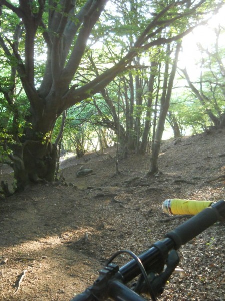 La mia Stumpjumper sui sentieri del Monte Generoso