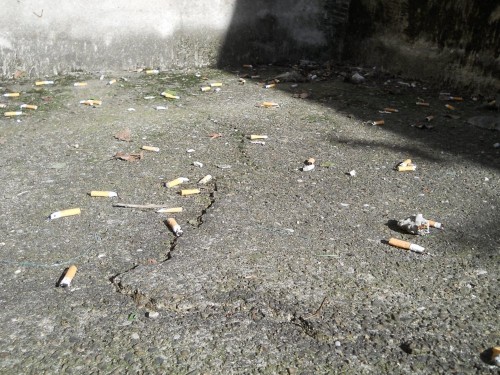 mozziconi di sigaretta in Università