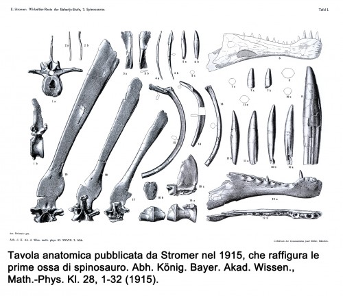 Spinosauro - Stromer 1915