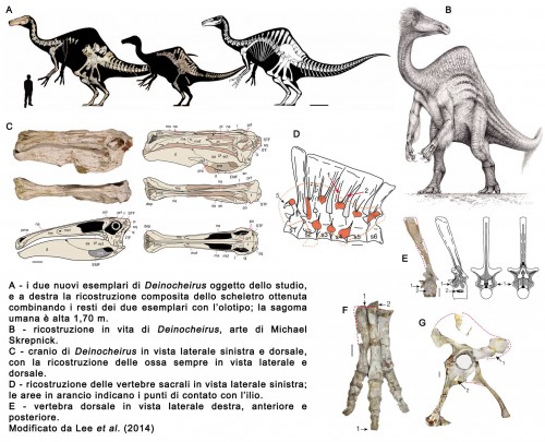 Novità riguardo i Dinosauri 2