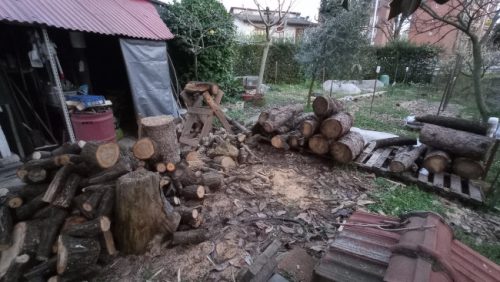 Legna da ardere. Bruciarla è ecologico?